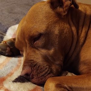 Meet your Posher, Angela